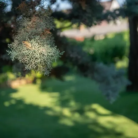 Apartman Né-ko Apartmanház